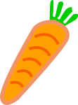 carrot orange with green leafs